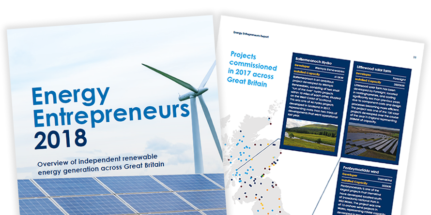 Energy Entrepreneurs Report 2018