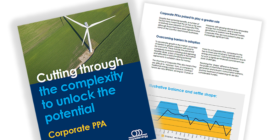 Corporate PPA Report 2019