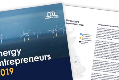 Energy Entrepreneurs Report 2019